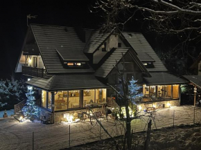 Willa FOLK Pieniny, Szczawnica
